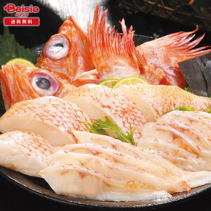 Ε 2025 ~Mtg mΗY 񂫂̖킢Zbg ƂHi Ⓚ 蕨 Gift  107-78