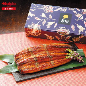 Ε 2025 ~Mtg Vy BYȂ2Zbg Vy Ⓚ 蕨 Gift  142-78