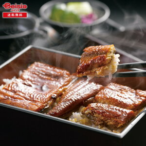 Ε 2025 ~Mtg ȂBuāv ACGXC Ⓚ 蕨 Gift  141-78