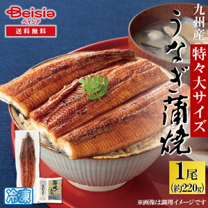 BYLȂ1 XTCY ^ERt(220g^j | Ȃ Ă 1 Y BY  TCY 220g  Ⓚ ypN̓ N̓ V EiM Mtg 蕨 v[g 