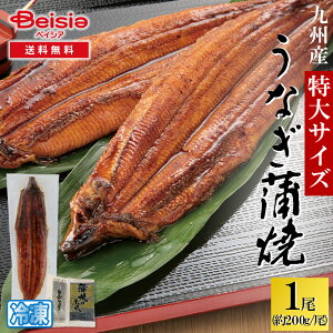 BYLȂ1 TCY ^ERti200g^j | Ȃ Ă 1 Y BY  TCY 200g  Ⓚ ypN̓ N̓ V EiM Mtg 蕨 v[g 