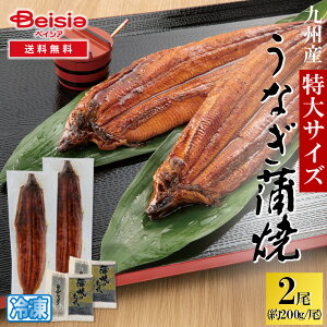BYLȂ2 TCY ^ERti200g^j | Ȃ Ă 2 Y BY  TCY 200g  Ⓚ ypN̓ N̓ V EiM Mtg 蕨 v[g 