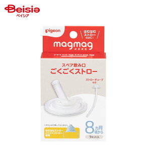 sW magmag XyA݌ Xg[1