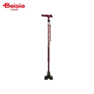 tWz[ 邪t@2 4_DX Lk[t C WB5226 1{