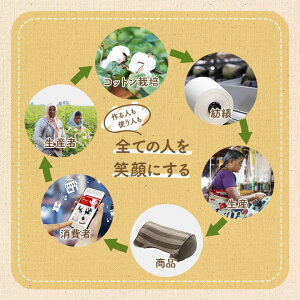 NbV V[g ֎q { I[KjbNRbg 100% {[_[ 􂦂 x[W lCr[ 43×43cm CPqR