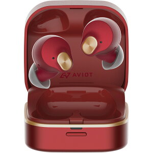 AVIOT(ArIbg) TE-Q3 ANeBumCYLZO CX Cz | Bluetooth 5.3 }`|CgΉ ʘbp}CN ×pVR̗p ő42ԍĐ O捞 IPX4h
