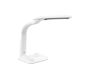 ACXI[} LEDfXNCg LDL-501RN-W zCg