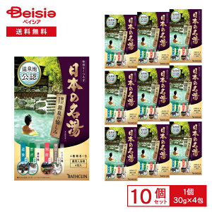 oXN {̖ ̖ 30g×4×10Zbg |  ̑f Mtg lߍ킹 Zbg C v[g 蕨 ܂Ƃߔ