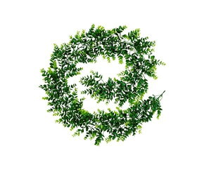 ACXI[}DECO GREEN K[hGG-170E