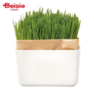 nI L͔|Lbg ɂxWZbgN ybg | L ͔| Lbg Zbg   G _ S S HARIO