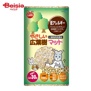 }J ~j}h ₳Lt}bg 30L MR-916 ybg |  }bg Lt  nX^[  bg X 30L ybg