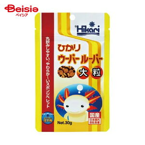 L[ E[p[[p[嗱30g ybg