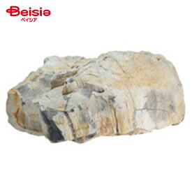 神畑養魚用品 アクアリウムロック 木化石 大 ペット