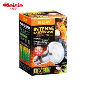 �W�F�b�N�X �T���O���[�^�C�g50WPT2135�i1���j ×1��