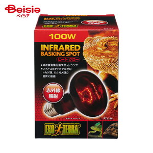 WFbNX q[gO[100WPT2144i1j ×1