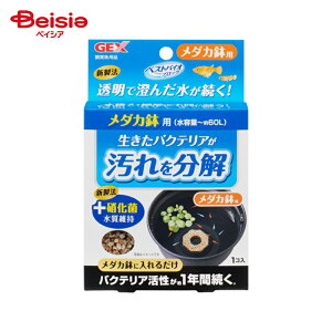  WFbNX xXgoCIubN _Jp ×1