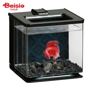 WFbNX yANAubNi1j ×1