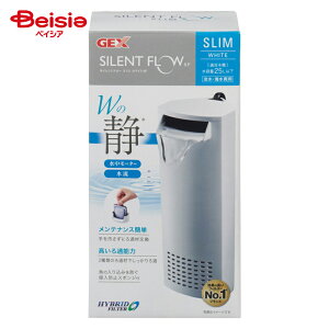 WFbNX TCgt[XzCgSP ×1