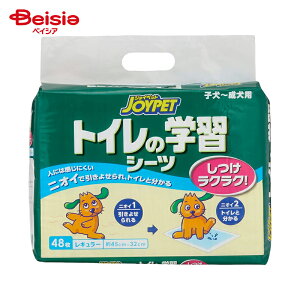 A[XEybg WCybggCwKV[cM[48×8 ܂Ƃߔ Ɩp ybg