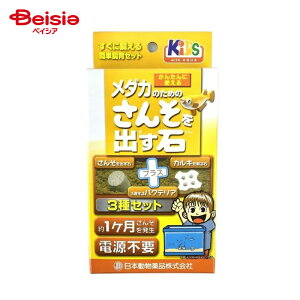 j`hE _Ĵ߂̂񂻂o΁i1j ×4