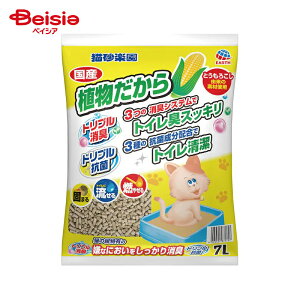 L.lR A[XEybg LyA7L×6 | L y A gCɗ ł܂ L R t ܂Ƃߔ e Ƃ낱 lR ybgpi zRȂ