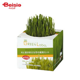 グリーンラボ 犬と猫が好きな草栽培セット ペット | 犬 猫 草 栽培セット ペット 栽培キット
