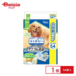 GG[Pet L~ ptLV[gW54 ybg | ybg LV[g Ch GG[ Pet L~ pt 54  L