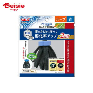 WFbNX _JC ̂Y [v  ybg