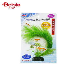 WFbNX _Ji ӂӂY ~ ybg