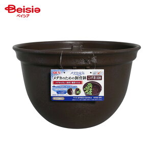 WFbNX _JC _Ĵ߂̎甫 320 32cm ybg