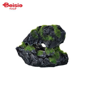 WFbNX i XbN Cave ybg