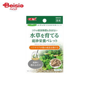 WFbNX MeGreen Ăꍻh{ybg 10g ybg