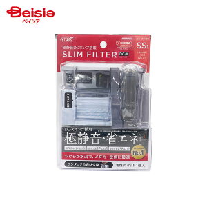 WFbNX XtB^[ DC-X SS1 ybg