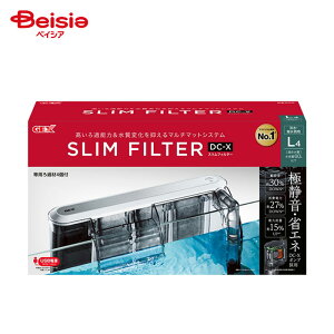 WFbNX XtB^[ DC-X L4 ybg