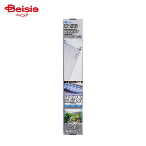  CgAbv WIDE450 zCg ybg