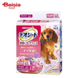 jE`[(unicharm) fIV[gLtOXt[V{̍胏Ch 60