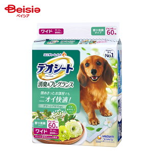 jE`[(unicharm) fIV[gLtOXO[A}̍胏Ch 60