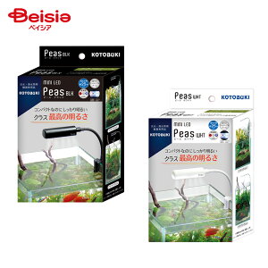 RguLH|(KOTOBUKI) ~jLED s[X