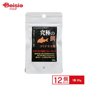 B-blast ɂ̉a RhXp 20g ×12 ybg | RhX a RhX̉a RhXp 20g 12 ܂Ƃߔ ANAE Mы Ϗ܋ ybgt[h