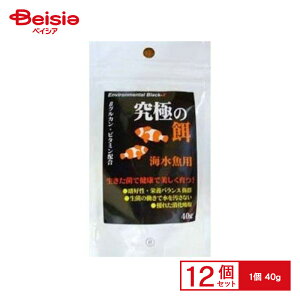 B-blast ɂ̉a Cp 40g ×12 ybg | C a C̉a Cp 40g 12 ܂Ƃߔ ANAE Mы Ϗ܋ ybgt[h