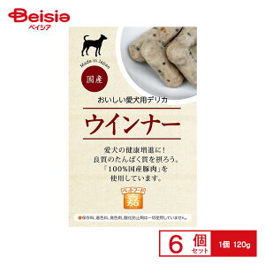 AEPES uÁvECi[120g ×6 ybg | p ECi[ 120g 6 hbOt[h   Y Y  J ^ ^ ^ S ܂Ƃߔ