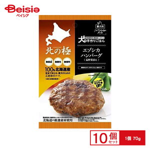 t@CEc[ k̋ G]VJno[O 70g ×10 ybg | p Y Y G]VJ  no[O ^ VjA ܂Ƃߔ