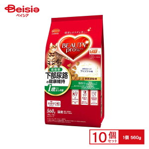 {ybgt[h r[eB[v LbgAHᎉb1΃J560g ×10 | r[eB[v Lbgt[h AH ᎉb 1΂ 560g 10 Y L L͂ hCt[h ܂