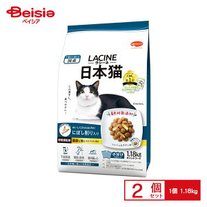 {ybgt[h V[l{Lɂڂ1.18kg×2 ybg | Lbgt[h hCt[h L LGT L̂ L̉a Y ɂڂ  1.18kg