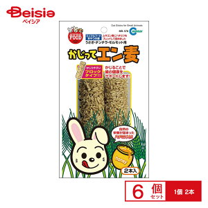 マルカン MR-578かじってエン麦2本 ×6個 ペット | エン麦 かじり木 マルカン MR-578 かじってエン麦 2本 うさぎ ハムスター チンチラ デグー 小動物 おやつ 無添加 ストレス解消 歯の健康 まとめ