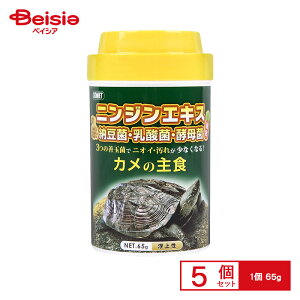 CgXC Rbg J̎H65g ×5 ybg