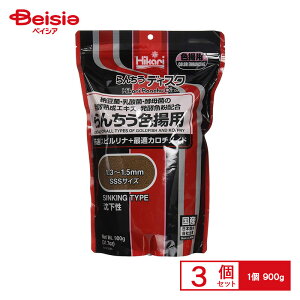 L[ Ђ 񂿂fBXN Fgp 900g ×3 ybg