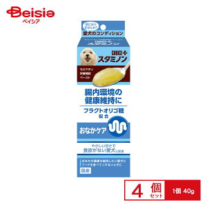 A[XEybg `CXvXX^~mȂPA40g ×4