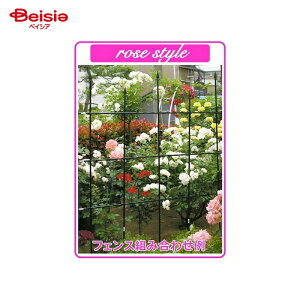 rj[ [YX^CfRH^150cm×2 | KN gX o ΂ ؉ pCv gݗ x | ƒ؉ Б[t bREo