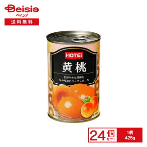 zeC  Y 425g×24 | ʋl  VbvЂ VbvЂ 2 Y fU[g t[c ̂܂ َq [Og gbsO ܂Ƃߔ Ɩp